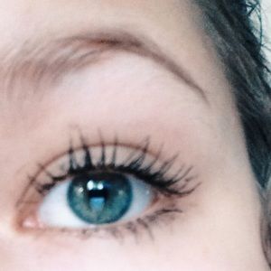 Meet your Posher, Sadie